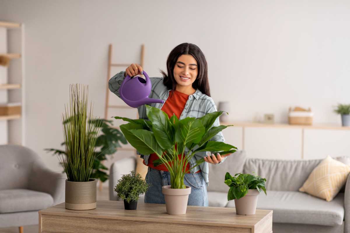 Transform Your Home with These Air-Purifying Indoor Plants